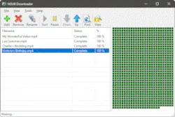 M3U8 Video Downloader Main Window