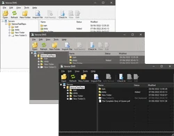 Verona DMS Client Main Window
